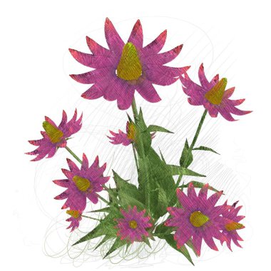 beyaz zemin üzerine suluboya çiçek