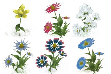 çiçekler ile suluboya çiçek deseni