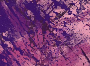  metin için alanı olan grunge arkaplanı      