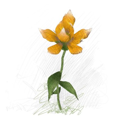 beyaz zemin üzerine kırmızı yaprakları