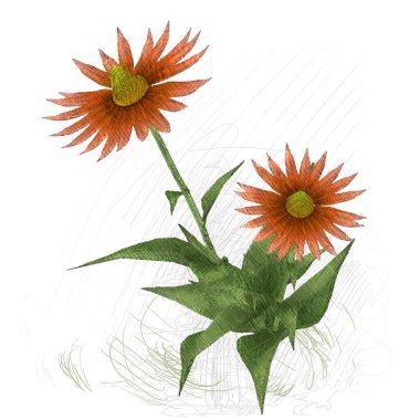 Beyaz arka planda izole dağınık grungy çiçekler