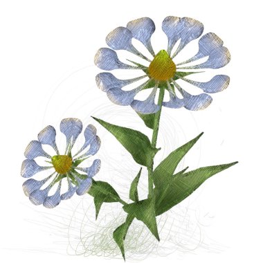 Beyaz arkaplanda güzel çiçekler 