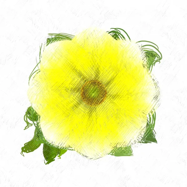 Mooie Bloemen Een Gele — Stockfoto