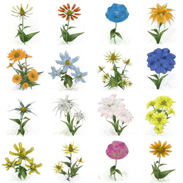 Nahtloses Muster Mit Blumen — Stockfoto