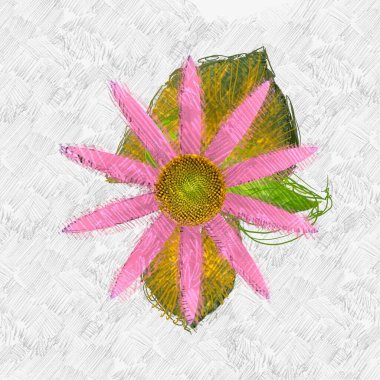 Beyaz arkaplanda kırmızı çiçek