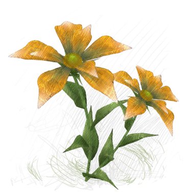 Beyaz arkaplanda güzel çiçekler 