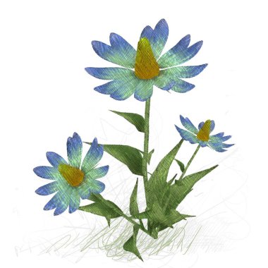 beyaz arka plan üzerinde çiçek çiçekleri