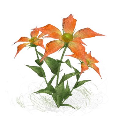 Beyaz arkaplanda kırmızı yapraklar izole