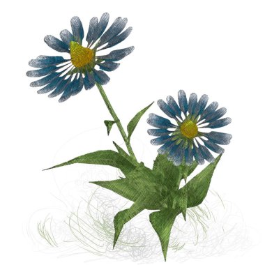 Beyaz arkaplanda çiçek