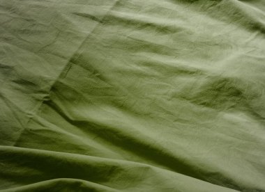 yeşil yaprak dokusu arkaplanı