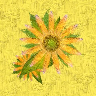 Beyaz arkaplanda sonbahar yaprakları