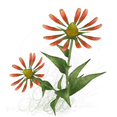 beyaz zemin üzerine suluboya çiçek