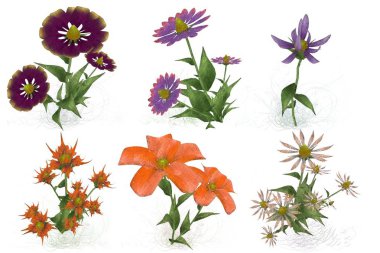 Beyaz arkaplanda güzel çiçekler