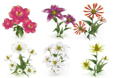 Çiçekli çiçek deseni