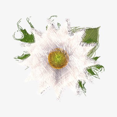 Beyaz arkaplanda izole edilmiş noel ağacı