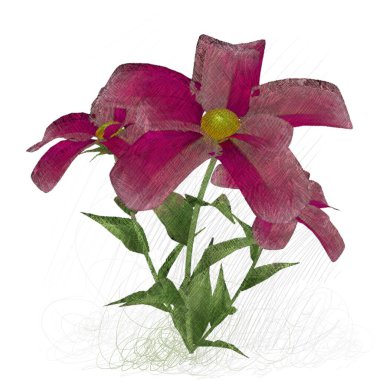 Pembe orkide beyaz arkaplanda izole edildi