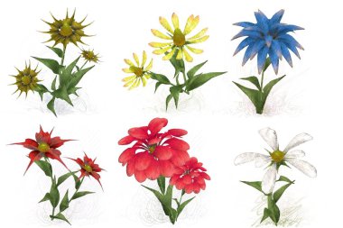 Beyaz arkaplanda güzel çiçekler