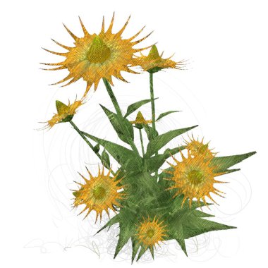 Renkli çiçek doku arka plan 