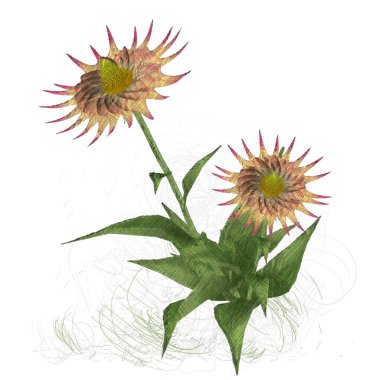 Beyaz arkaplanda Noel ağacı