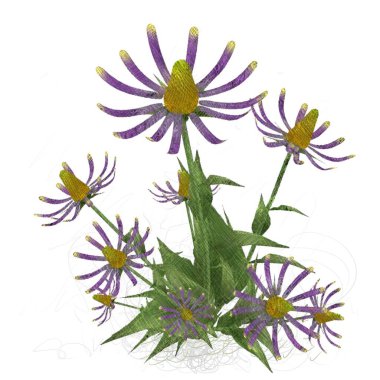 beyaz zemin üzerine suluboya çiçek