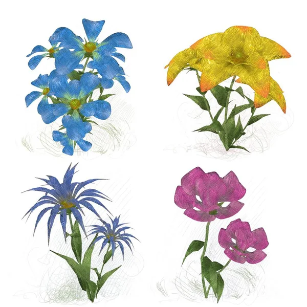 Set Watercolor Flowers — Stock Photo, Image