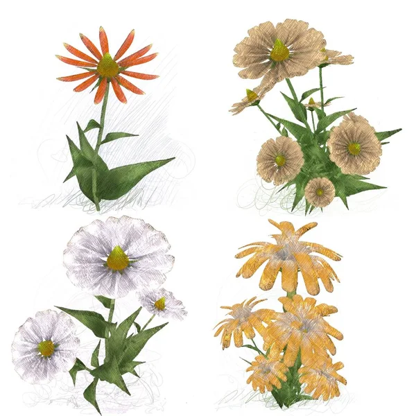 Blumenmuster Mit Blumen — Stockfoto