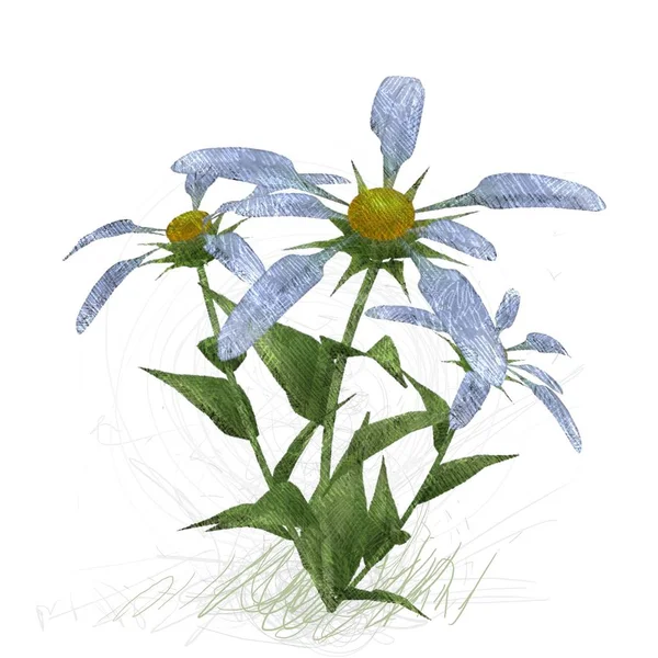 Aquarel Bloemen Witte Achtergrond — Stockfoto