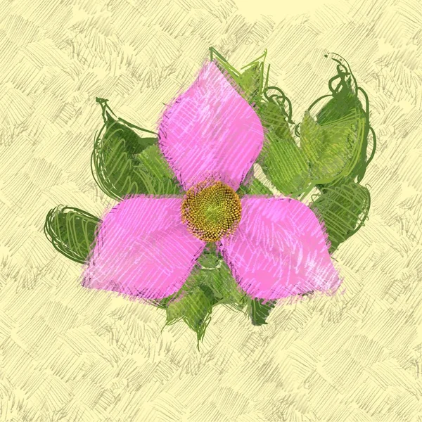Špinavá Mizerná Květinka Ošuntělém Pozadí — Stock fotografie