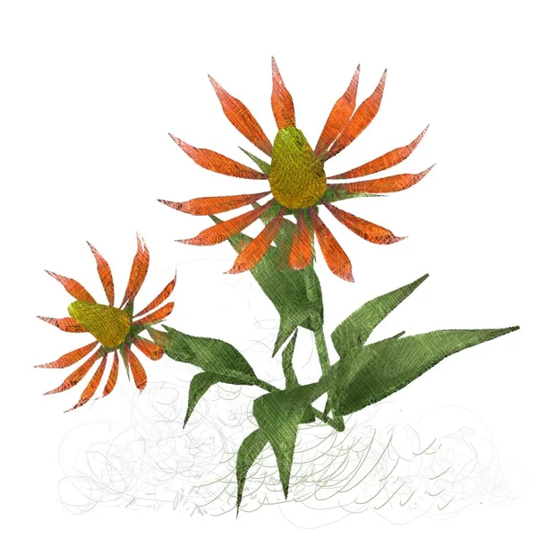 Beyaz arkaplanda izole edilmiş noel ağacı