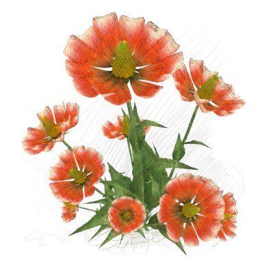 Beyaz arkaplanda izole edilmiş güzel çiçekler