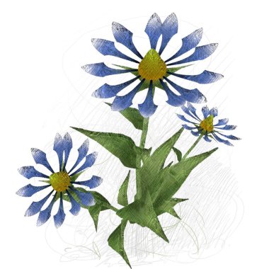 Beyaz arkaplanda güzel çiçekler