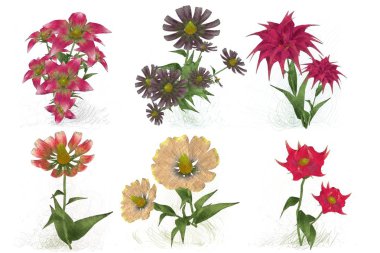 Beyaz arka planda güzel suluboya çiçekler