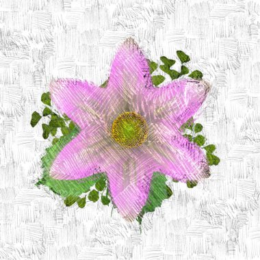 Beyaz arkaplanda pembe çiçekler