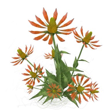 Renkli çiçek doku arka plan 