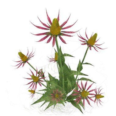 Beyaz arkaplanda izole edilmiş noel ağacı