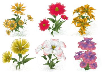 Beyaz arkaplanda güzel çiçekler