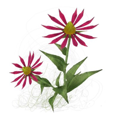 çiçekler ile suluboya çiçek