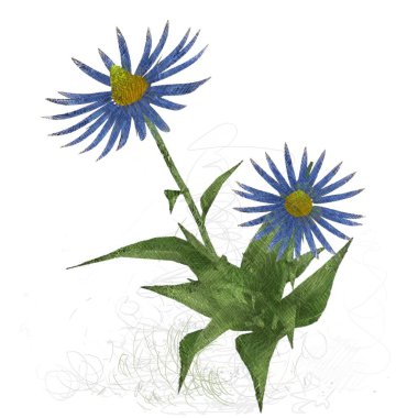 Renkli çiçek doku arka plan 