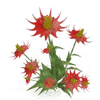 Beyaz arka planda izole dağınık grungy çiçekler