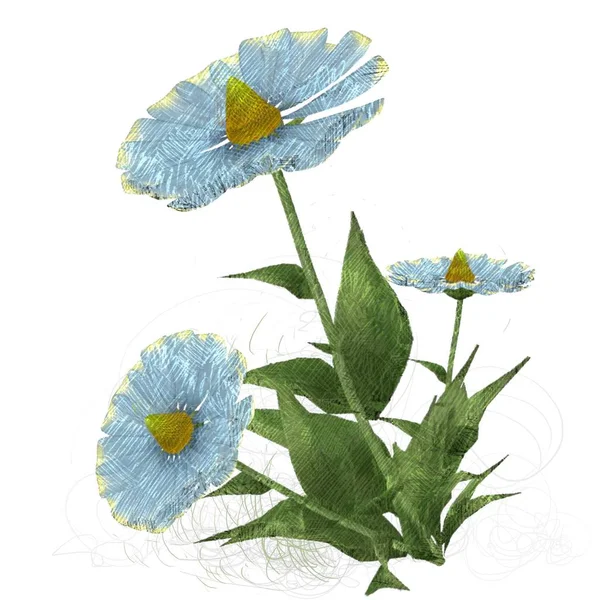 Aquarel Bloemen Geïsoleerd Wit — Stockfoto