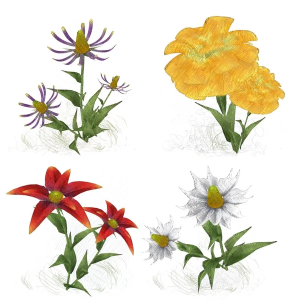 Beautiful Watercolor Flowers White Background — Stock Photo, Image