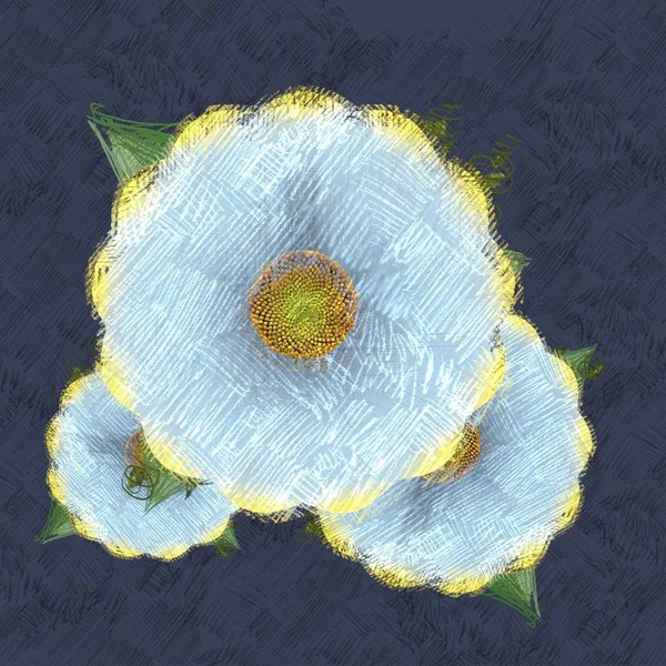 Świeże Kwiaty Niebieskim Tle — Zdjęcie stockowe
