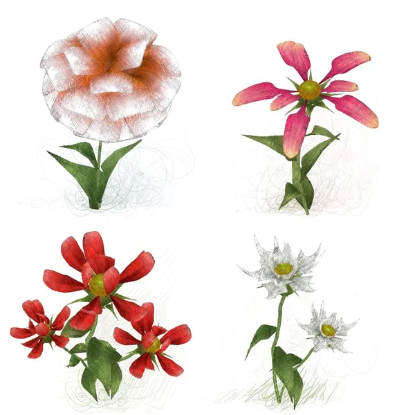 Set Watercolor Flowers White Background — Stock Photo, Image