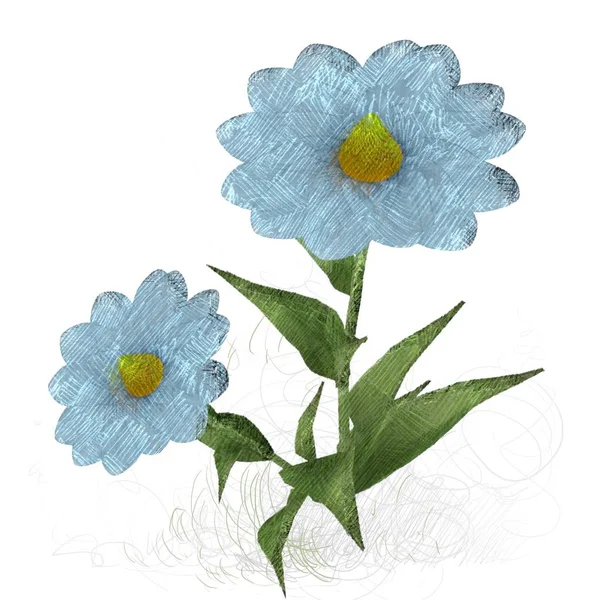 Prachtige Aquarel Bloemen Geïsoleerd Witte Achtergrond — Stockfoto
