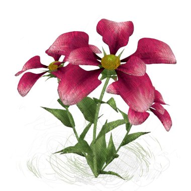 Beyaz arkaplanda güzel çiçekler 