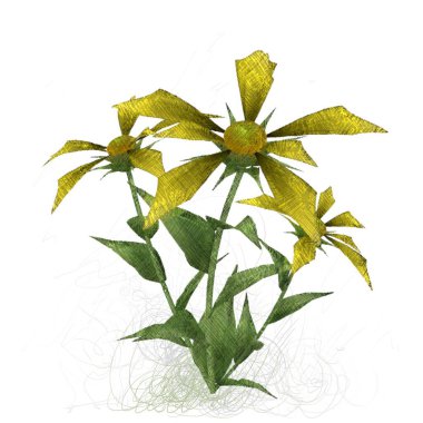 beyaz arkaplanda yeşil yapraklar izole