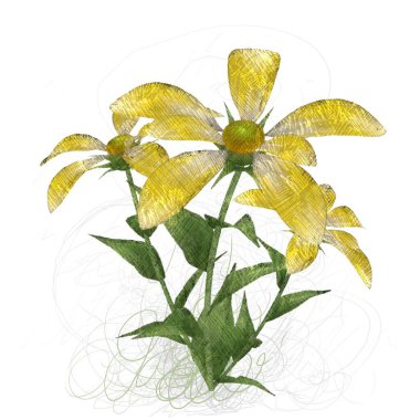 beyaz arkaplanda yeşil yapraklar izole