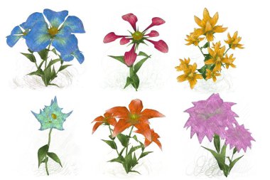 Beyaz arkaplanda güzel çiçekler