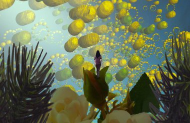 yaz aylarında güzel çiçekler