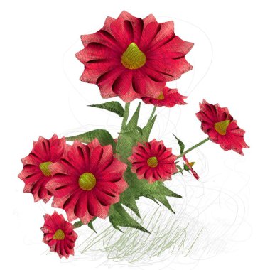 beyaz arka planda izole güzel çiçek çiçekleri